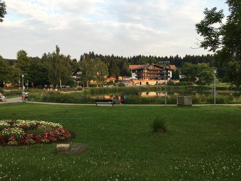 Fewo Andresen Hahnenklee Гослар Экстерьер фото