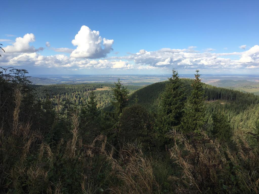 Fewo Andresen Hahnenklee Гослар Экстерьер фото
